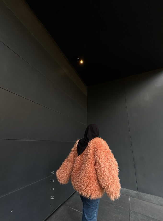 F 037
